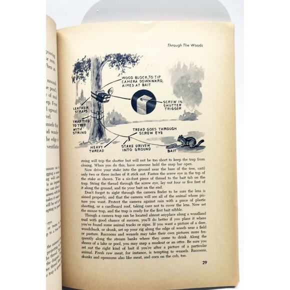 NATURE CRAFT - (1965) Golden Book Question & Answer Adventures Children’s Book - Picture 3 of 5